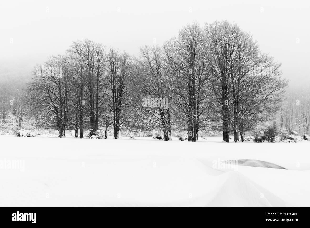 Campania Black and White Stock Photos & Images Alamy