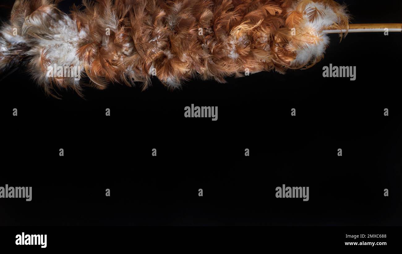 Indonesian traditional dust cleaner called Kemoceng (Feather duster