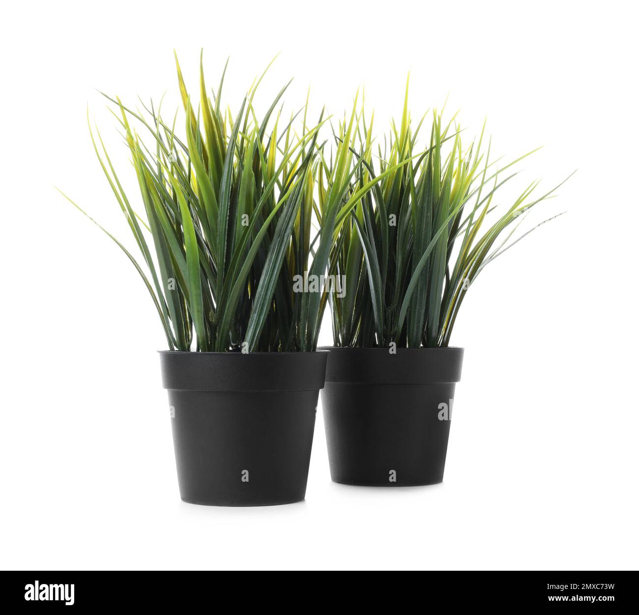 Beautiful artificial plants in flower pots isolated on white Stock