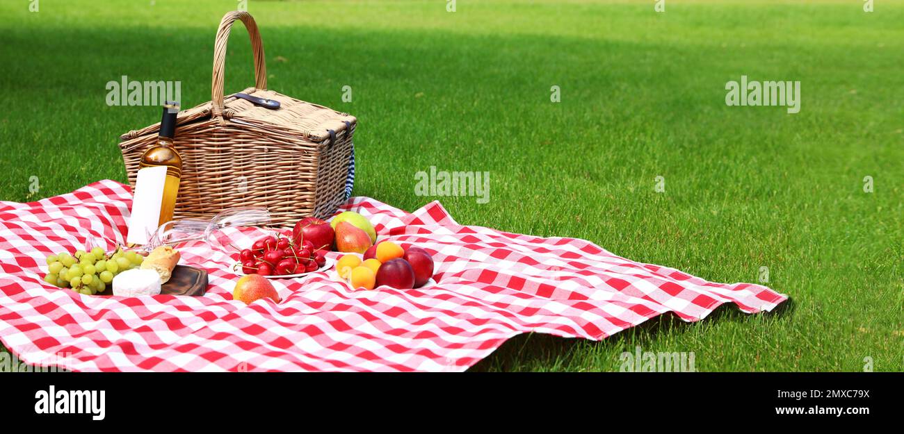 Picnic basket with products and bottle of wine on checkered blanket in ...