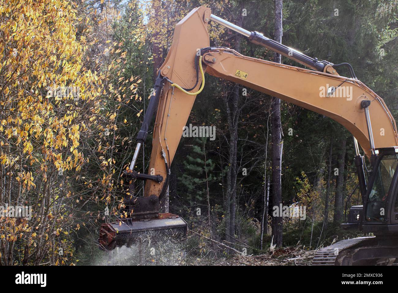 Mulcher on an excavator clears roadside from small trees and shrubs