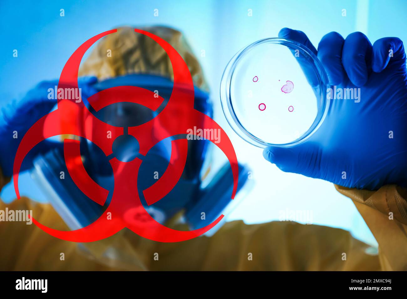 Poison sign and scientist holding Petri dish in laboratory, focus on ...