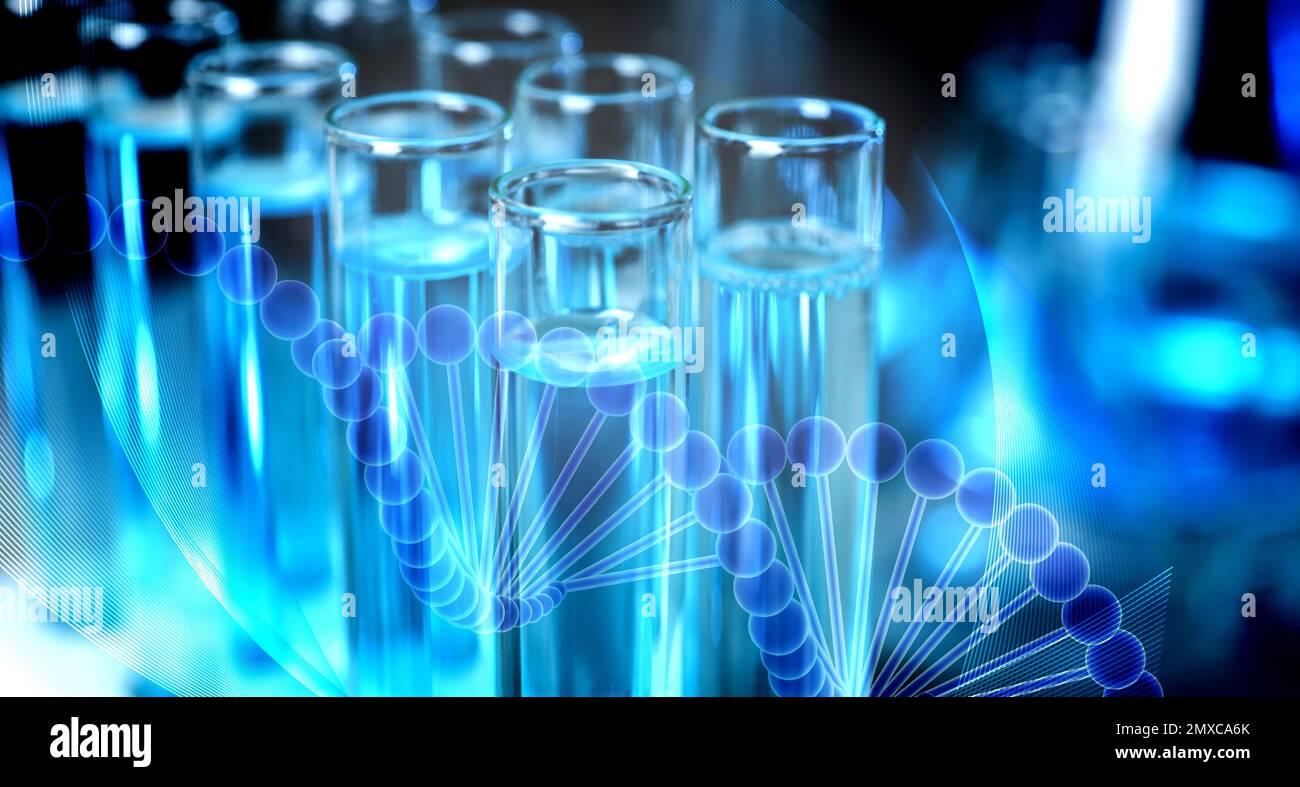 Test tubes with liquid on blurred background, closeup. Laboratory ...