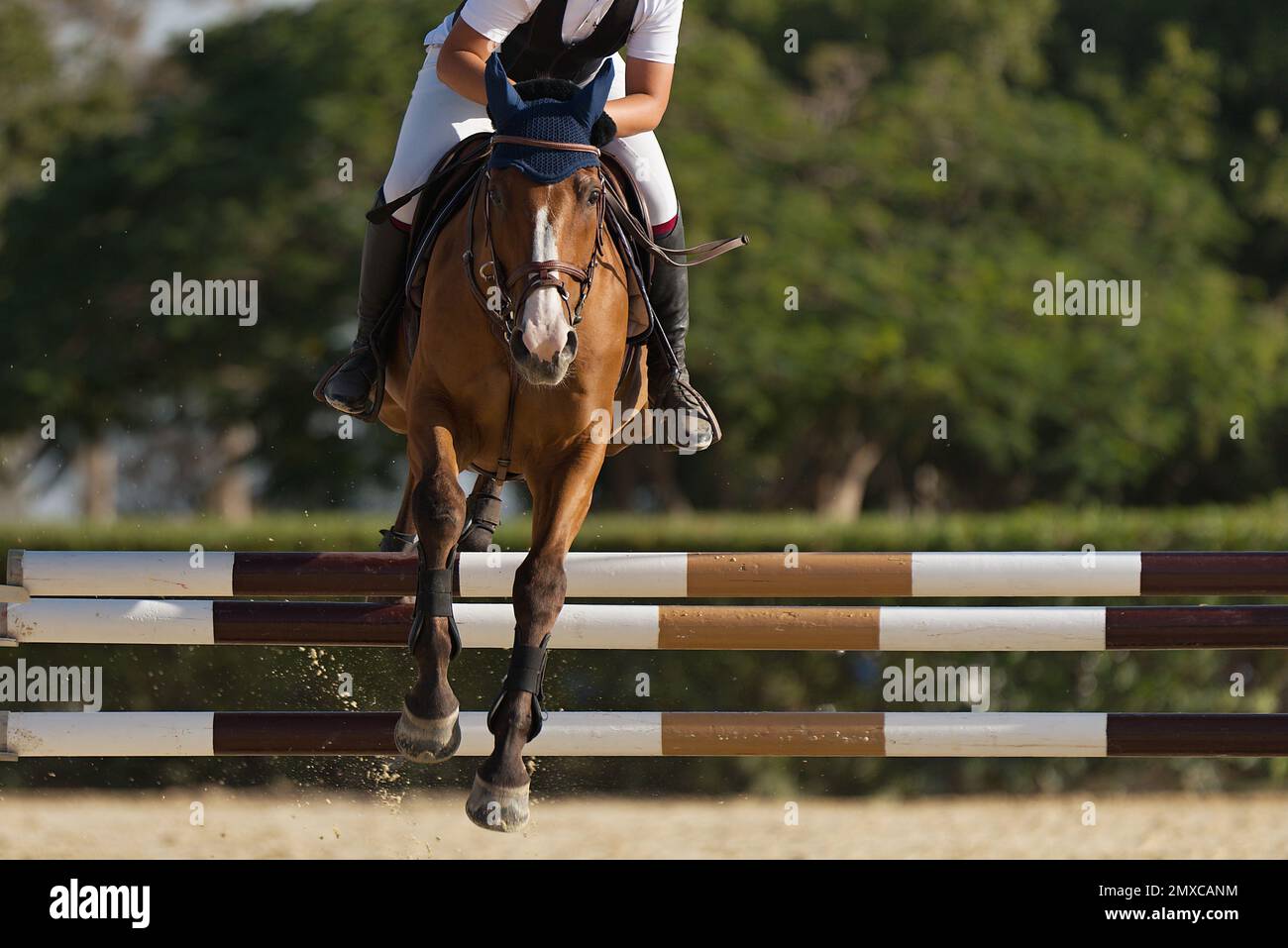 Jockey on her horse leaping over a hurdle, jumping over hurdle on