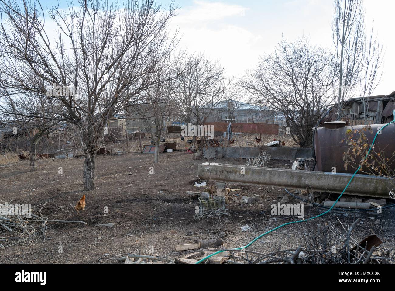 Arme militaire russe hires stock photography and images Alamy