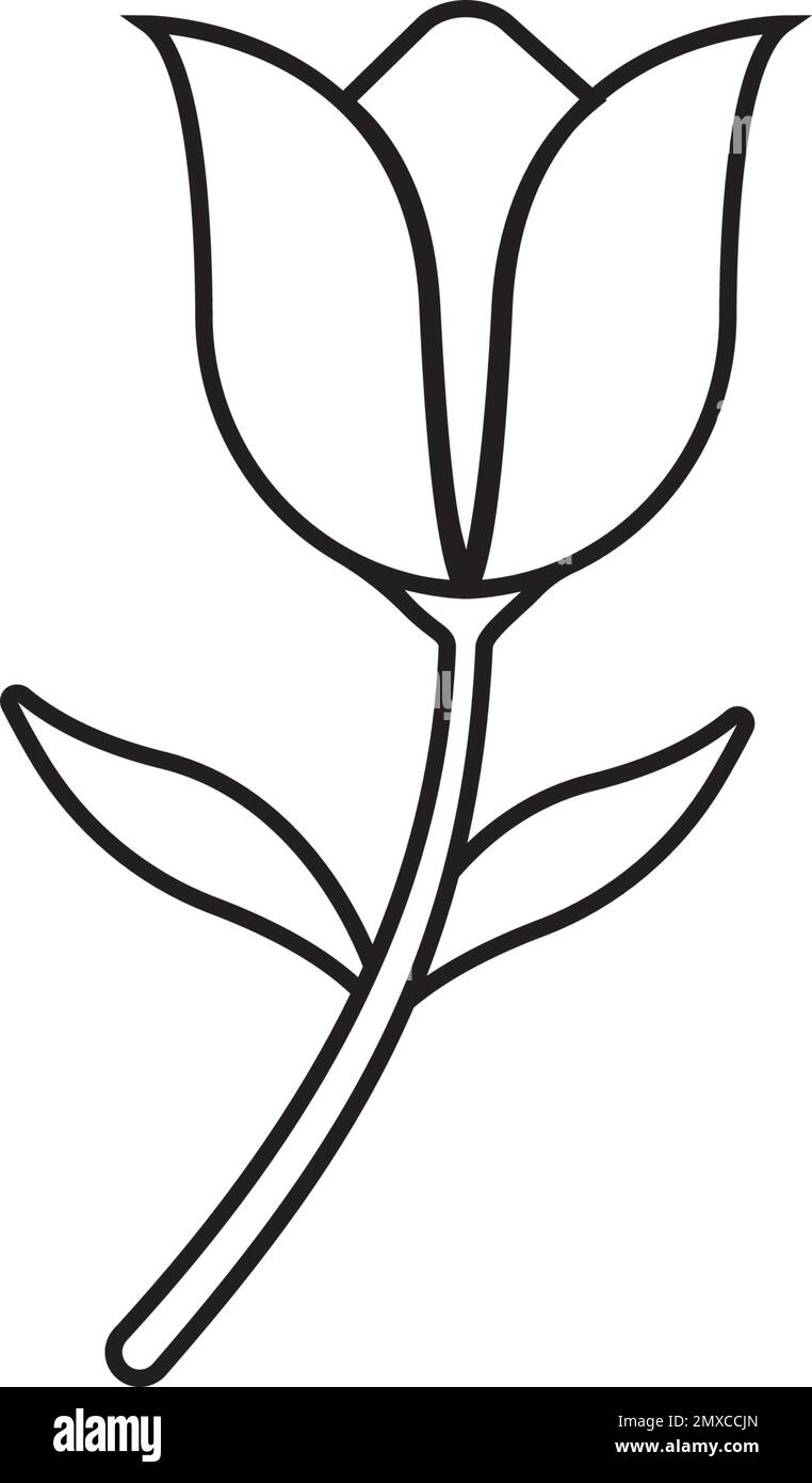 Tulip flower vector vectors Black and White Stock Photos & Images - Alamy