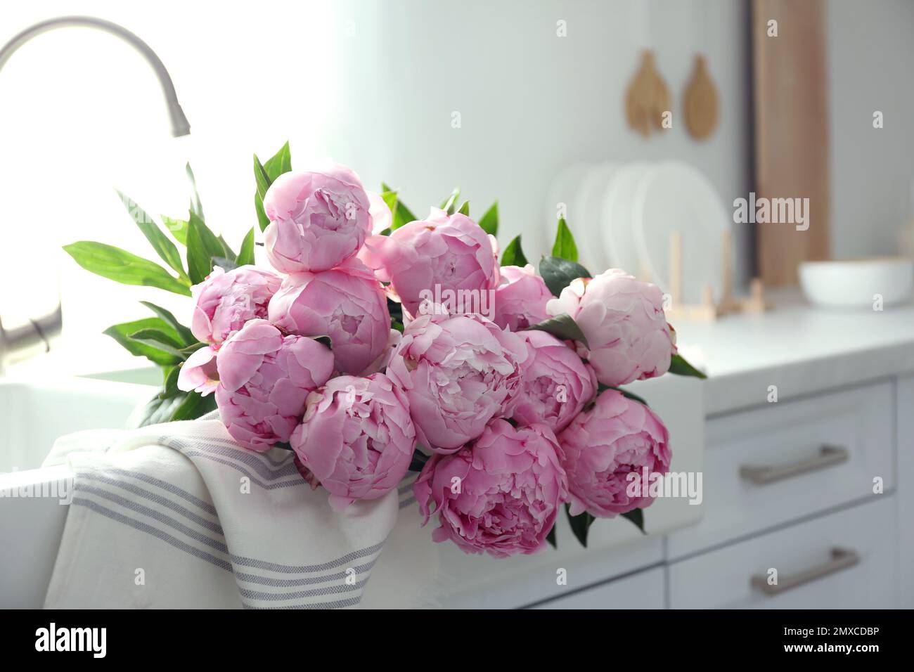 Bouquet of beautiful pink peonies in kitchen sink Stock Photo - Alamy