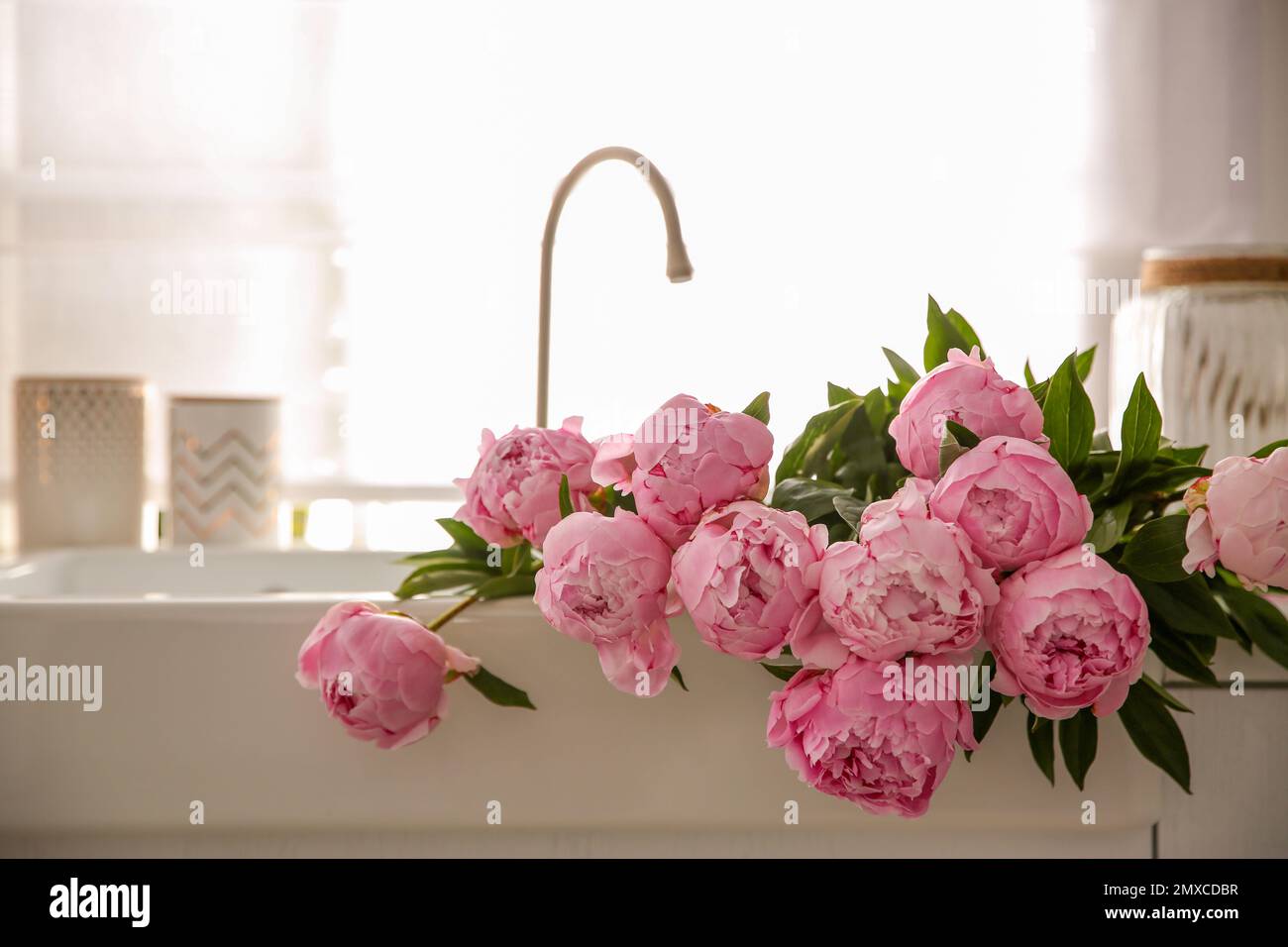 Bouquet of beautiful pink peonies in kitchen sink Stock Photo - Alamy