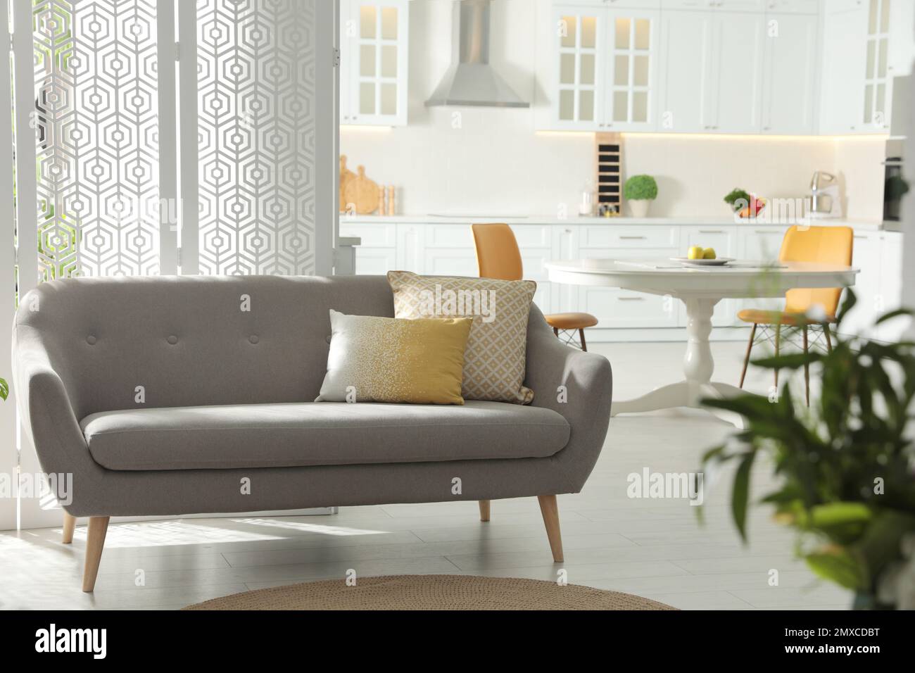 Image showcasing Stylish apartment interior with modern kitchen. Idea for design Stock ...