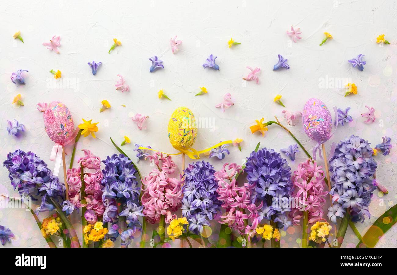 Flowers composition with easter eggs and hyacinths. Spring flowers on ...