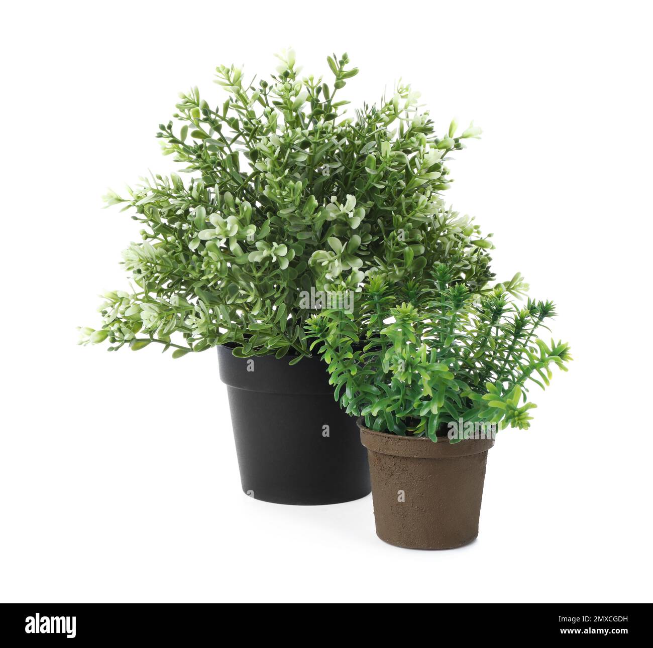 Beautiful artificial plants in flower pots isolated on white Stock