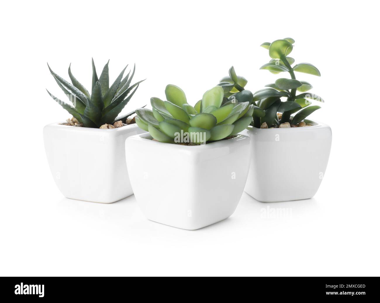 Beautiful artificial plants in flower pots isolated on white Stock