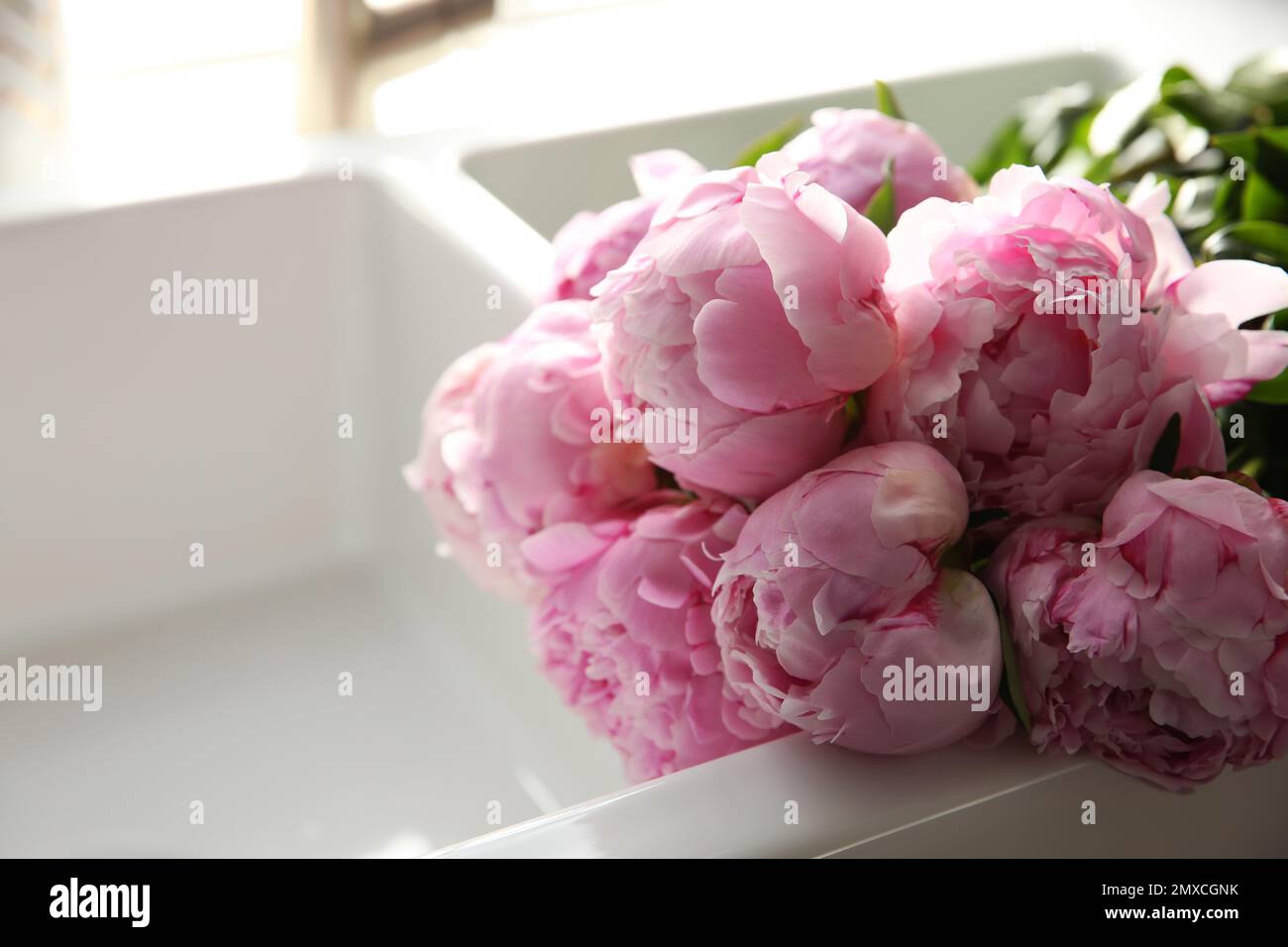 Bouquet of beautiful pink peonies in kitchen sink, closeup Stock Photo ...