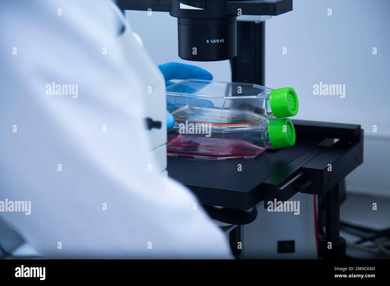 The process of research and chemical experiments with vials and ampules ...