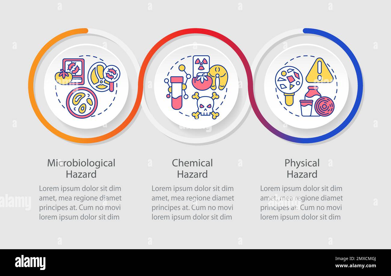 Food safety hazard loop infographic template Stock Vector Image & Art