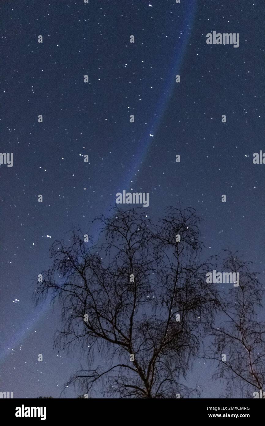 A vertical shot of a tree under the starry night sky Stock Photo - Alamy