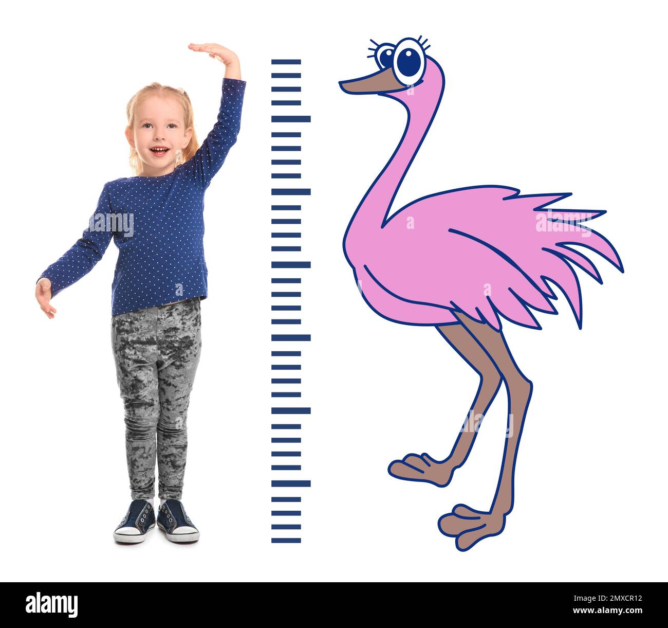 Little girl measuring height and drawing of ostrich on white background Stock Photo