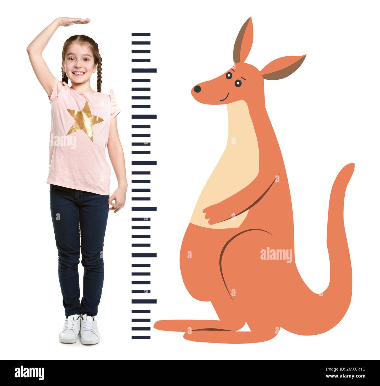 Little girl measuring height and drawing of kangaroo on white background Stock Photo