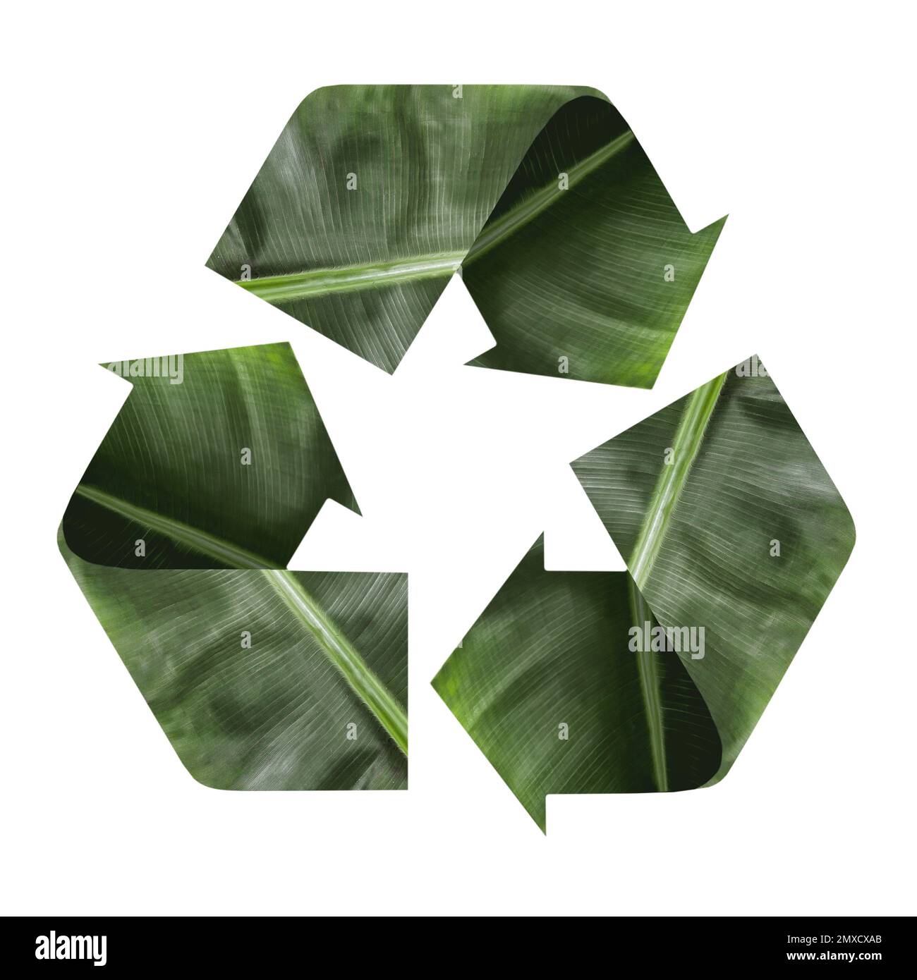 Recycling symbol made of leaves on white background Stock Photo - Alamy