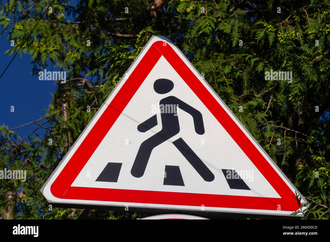 22+ Thousand Children Crossing Sign Royalty-Free Images, Stock