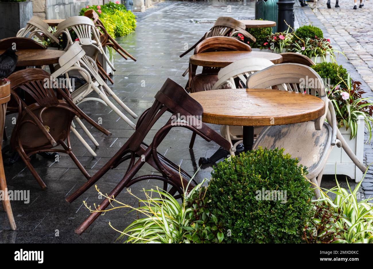 Empty wet wooden table and chairs on terrace of outdoor cafeteria during rain. Street city life in rain. Stock Photo
