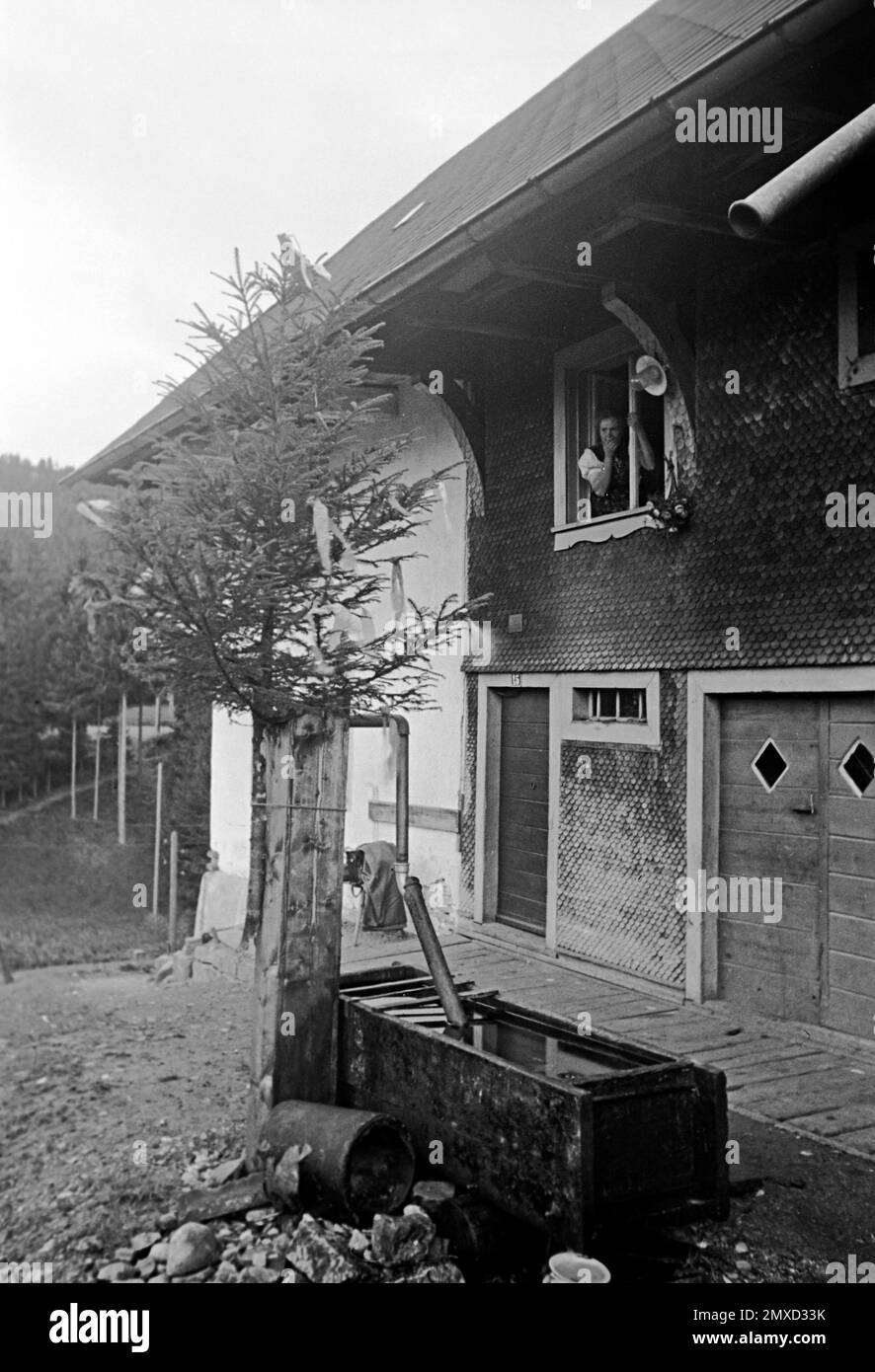 Freude über den Maibaum, 1938. Joy over the maypole, 1938. Stock Photo