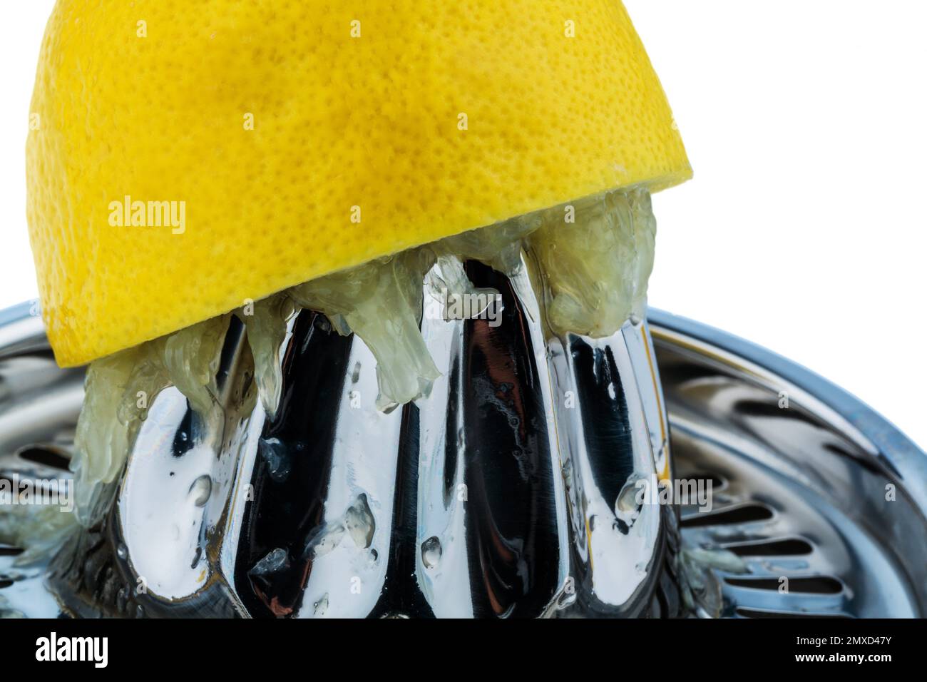 lemon (Citrus limon), lemon squeezer, juice is squeezed out of a lemon