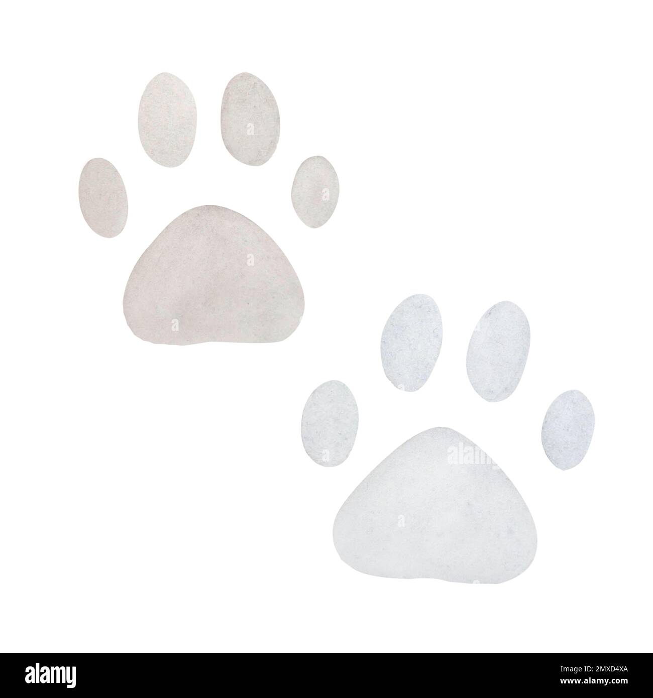 Paw prints illustration hi-res stock photography and images - Alamy