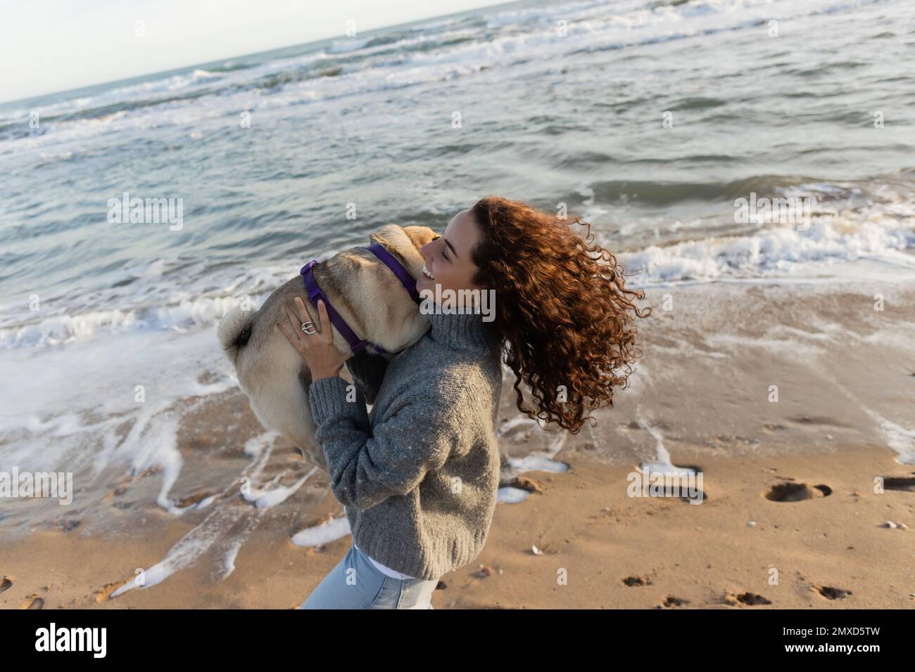 happy and curly young woman holding pug dog on beach near sea in Barcelona Stock Photo