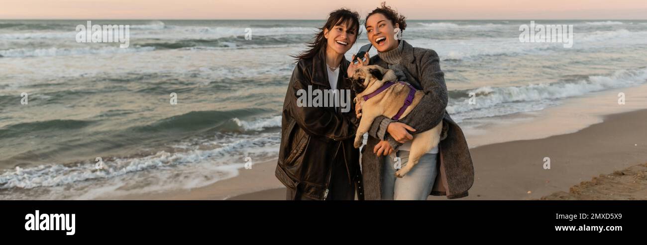 Positive friends holding smartphone and pug dog on sandy beach in Barcelona, banner Stock Photo