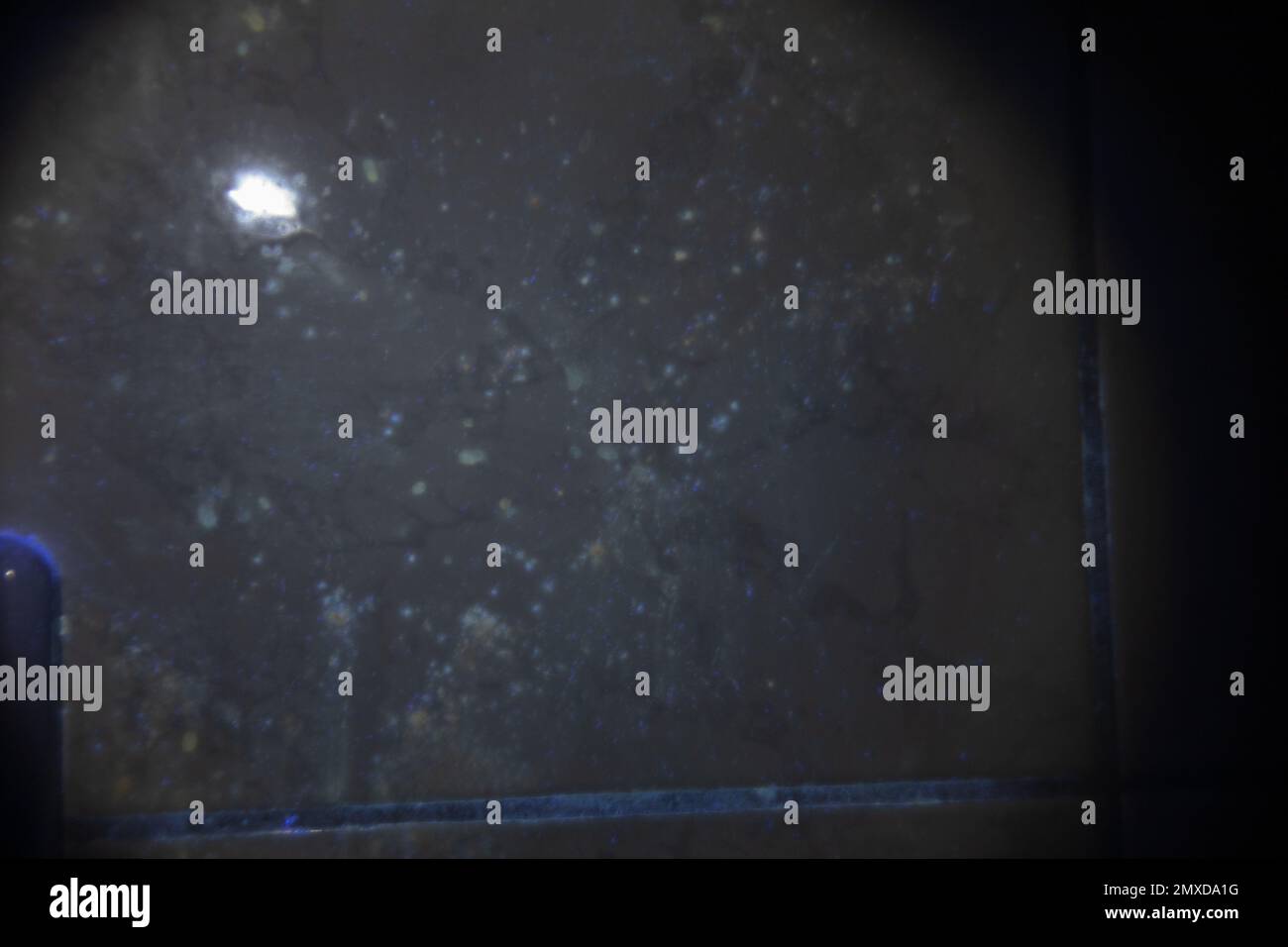 Blood spatter at the crime scene visualized with UV light and luminol