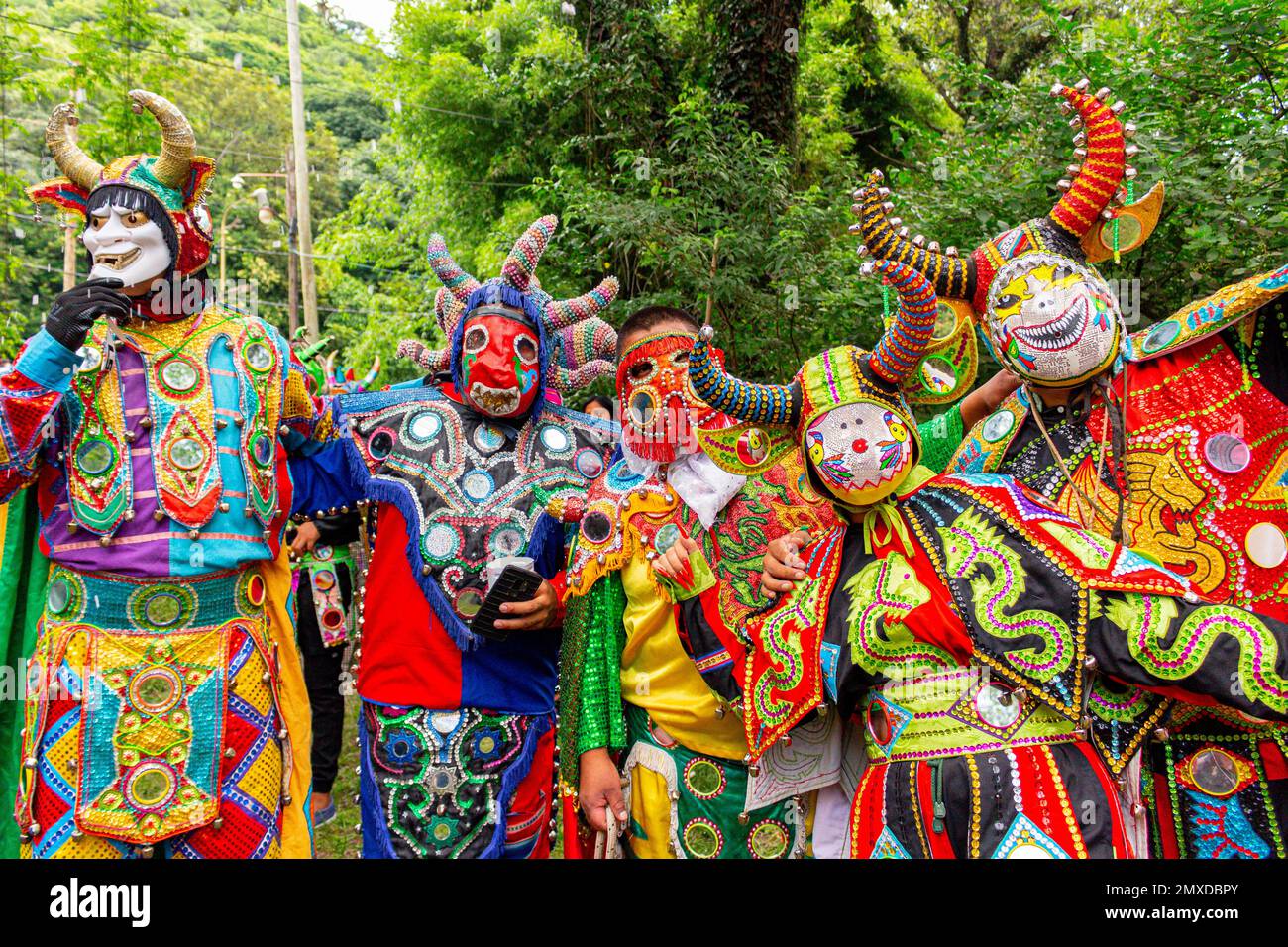 Devil carnival costume culture on Jujuy Stock Photo Alamy