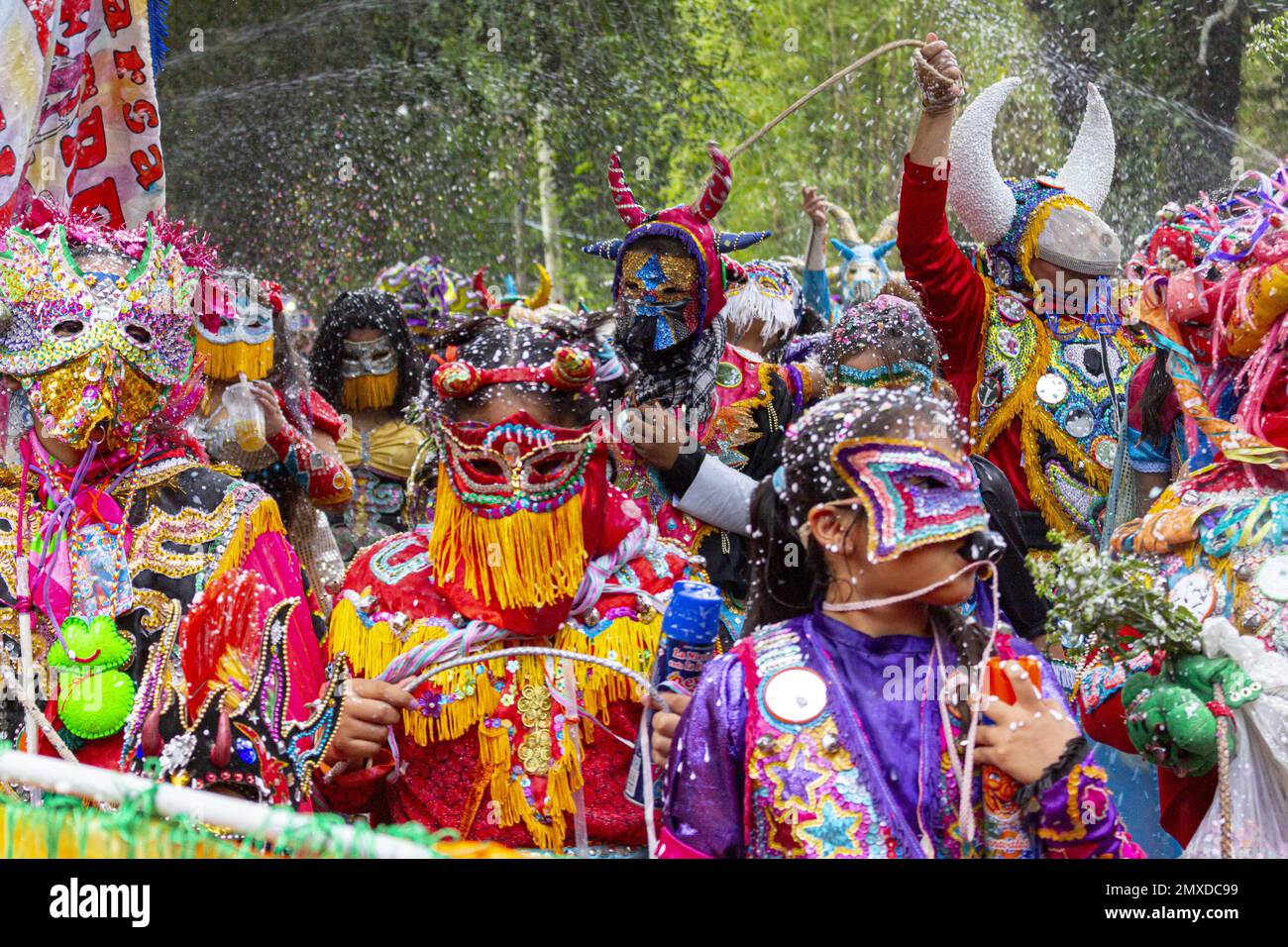 Devil carnival costume culture on Jujuy Stock Photo Alamy