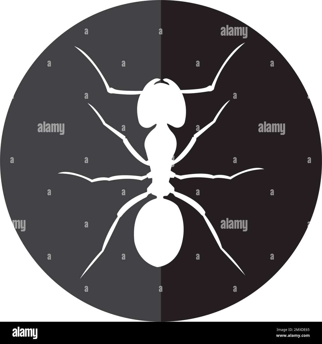 Beetle colony Stock Vector Images Alamy