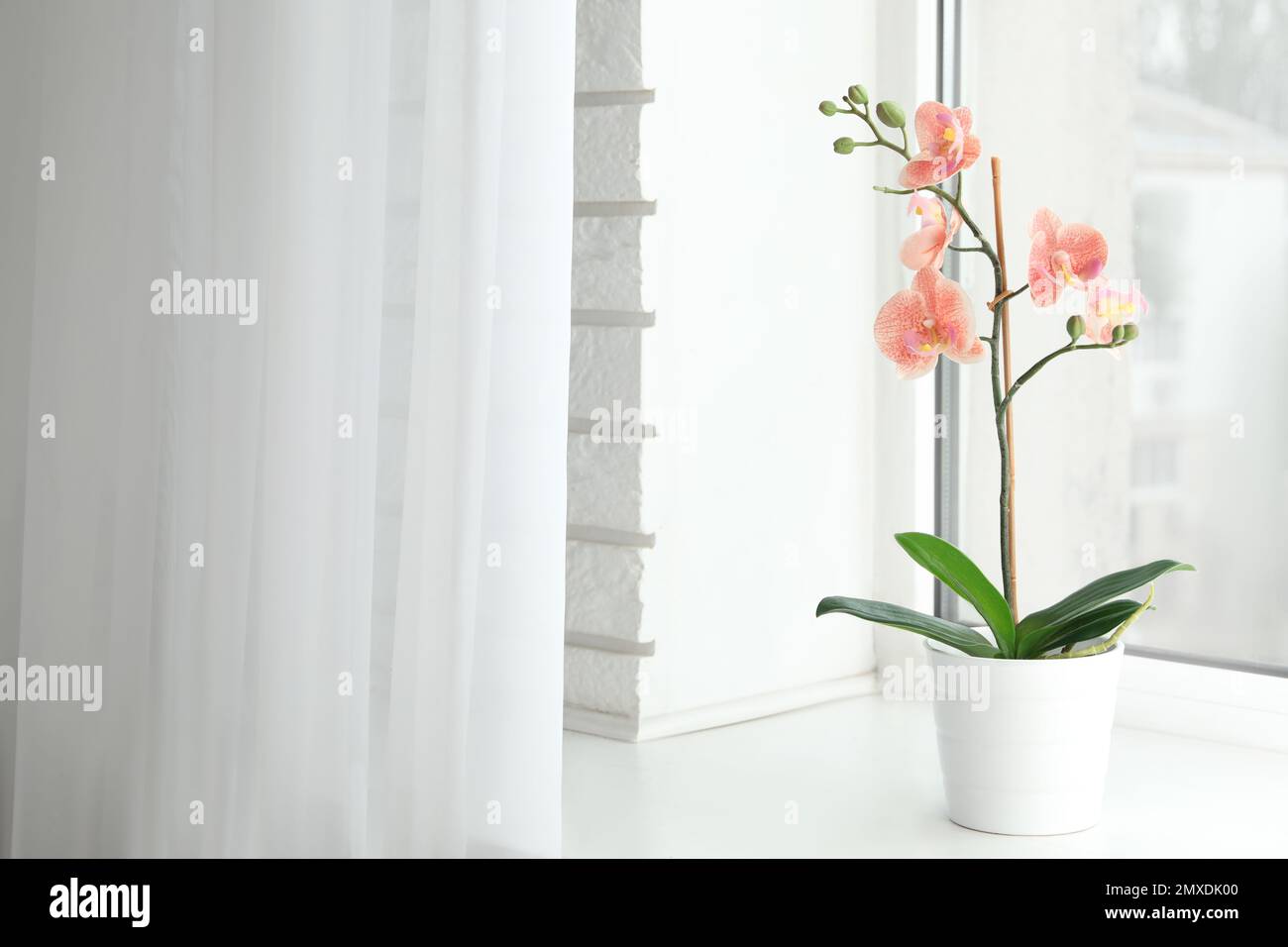 Beautiful artificial plant in flower pot on window sill. Space for text Stock Photo