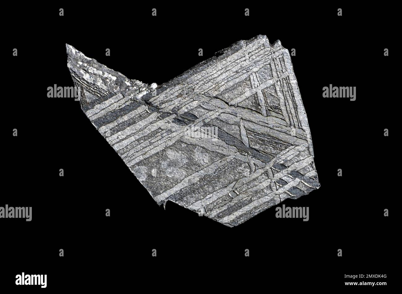 Slice of the Muonionalusta Meteorite Stock Photo