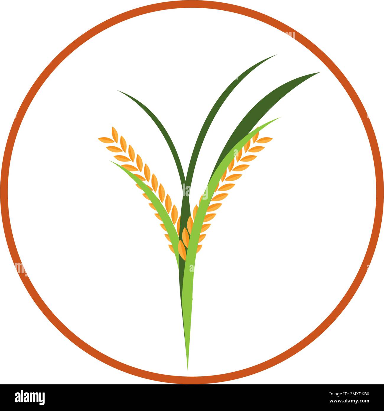 Ear of paddy rice isolated on white background. Icon vector illustration. Stock Vector