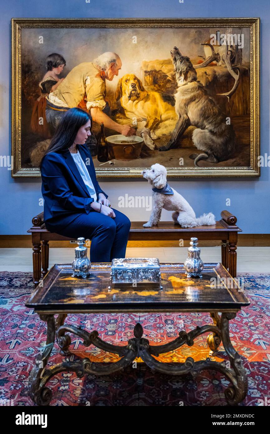 London, UK. 3 Feb 2023. The wounded hound by Richard Ansdell, 1847 (estimate: £200,000-300,000) provides the background as Lily, a 4 year old poodle, enjoys the collection of dog pictures - A preview of An Opulent Aesthetic: An Important Private Collection from an English Country House, at Christies, which will be auctioned on February 9. The sale comprises 266 lots spanning 19thcentury and Old Master paintings, fine furniture, clocks, porcelain, silver, soft-furnishings and lighting. Some works come from the collections of Alberto Bruni Tedeschi, the Lords Hesketh at Easton Neston and the Sac Stock Photo