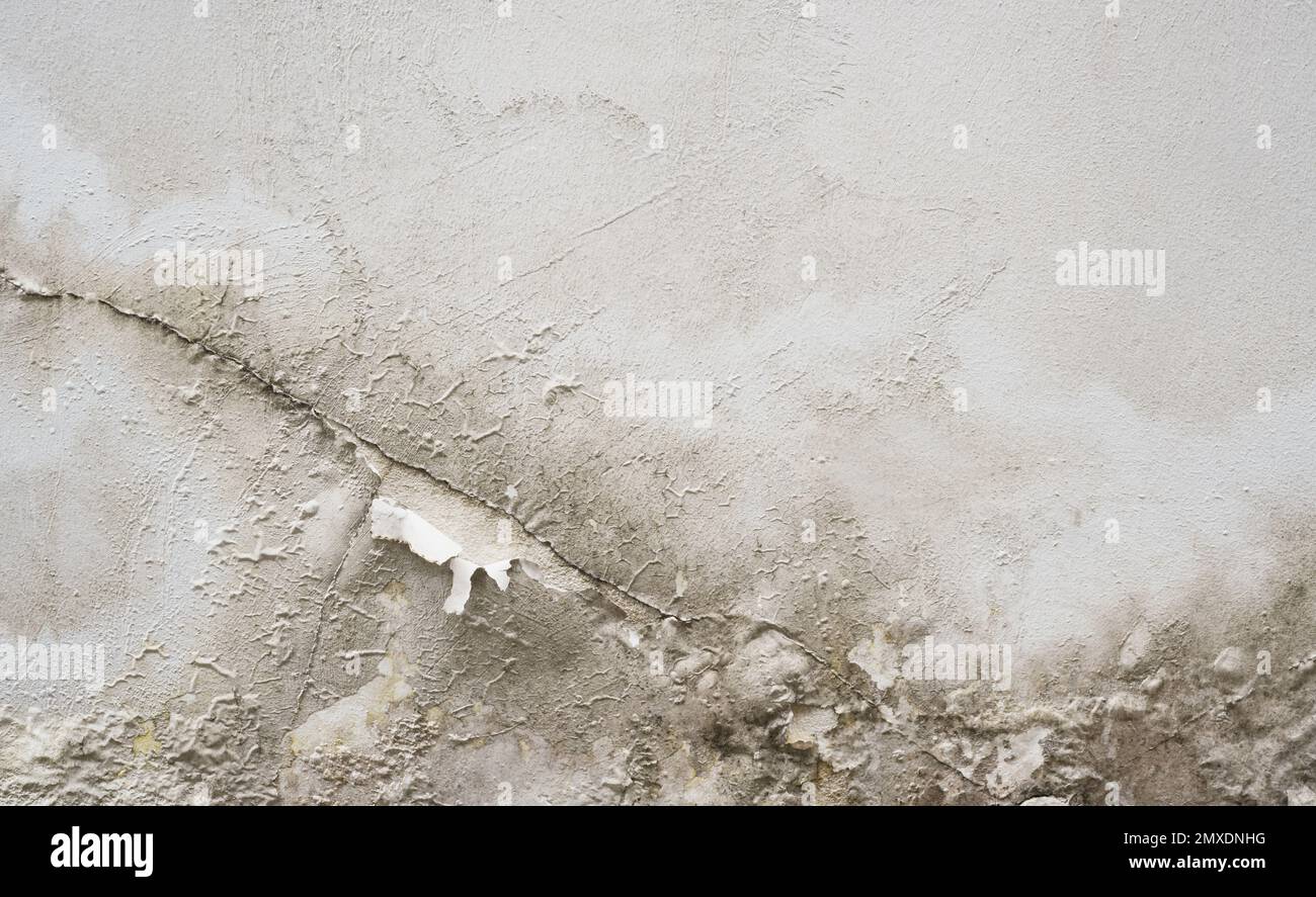 Problem of acrylic white color painting crack abstract surface texture