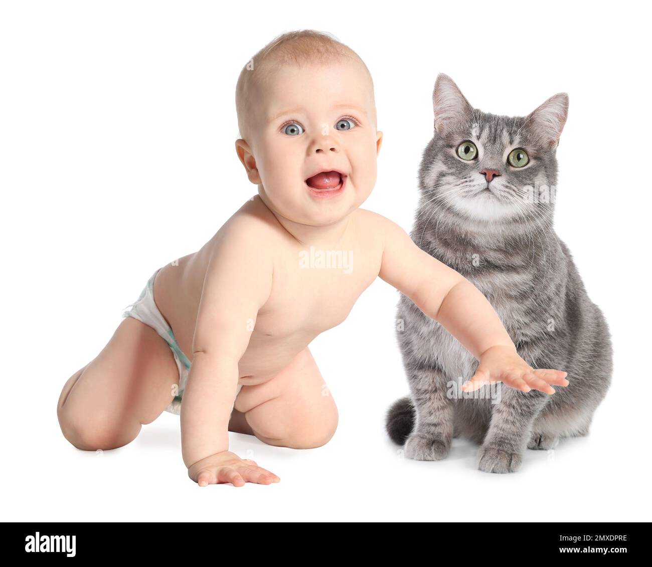 Cute little baby with his pet on white background Stock Photo Alamy