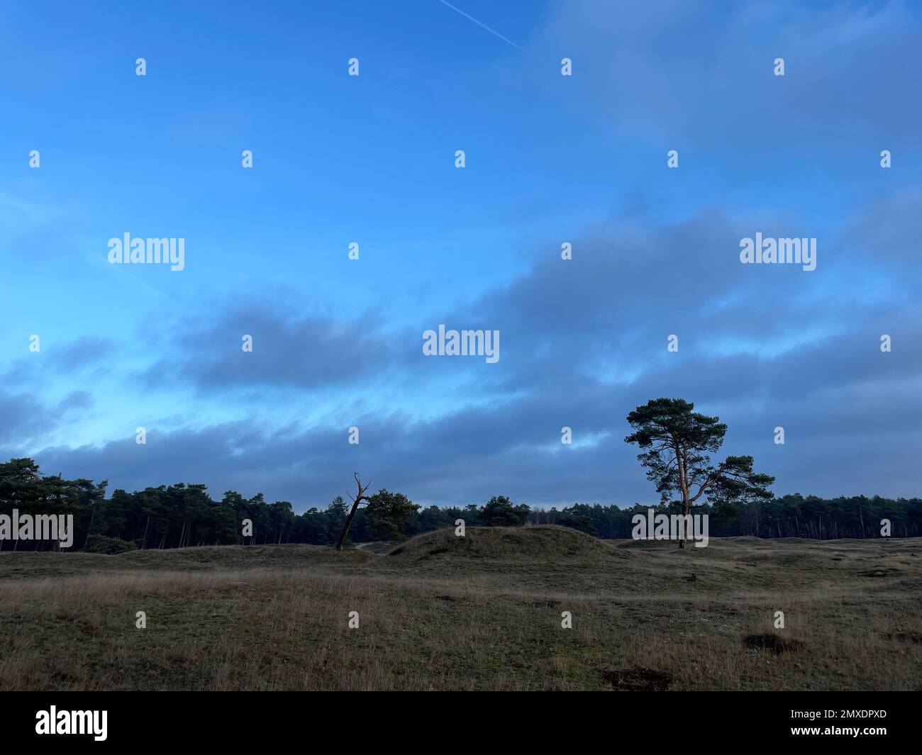 The cloudy sky over a countryside field Stock Photo - Alamy