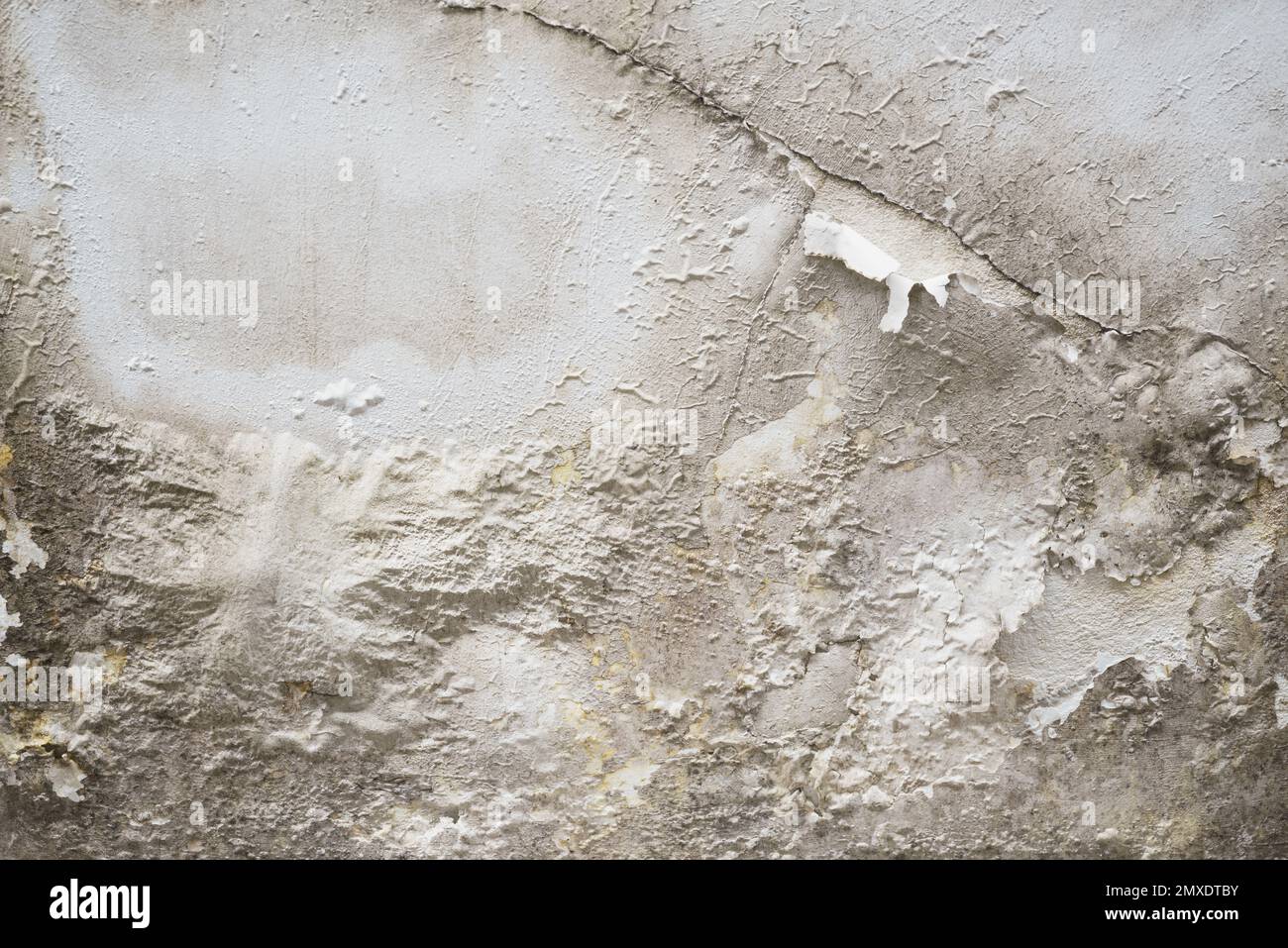 Problem of acrylic white color painting crack abstract surface texture