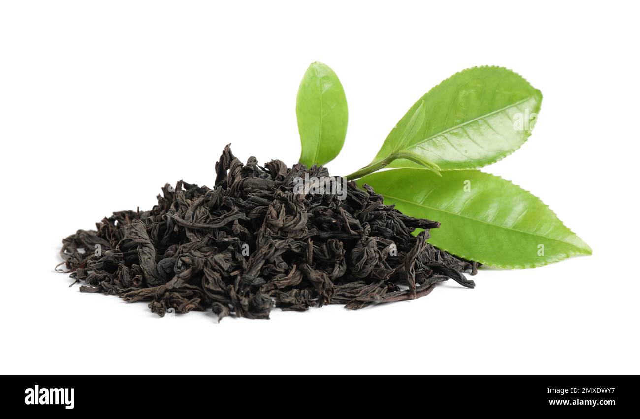 Fresh and dry leaves of tea plant on white background Stock Photo - Alamy