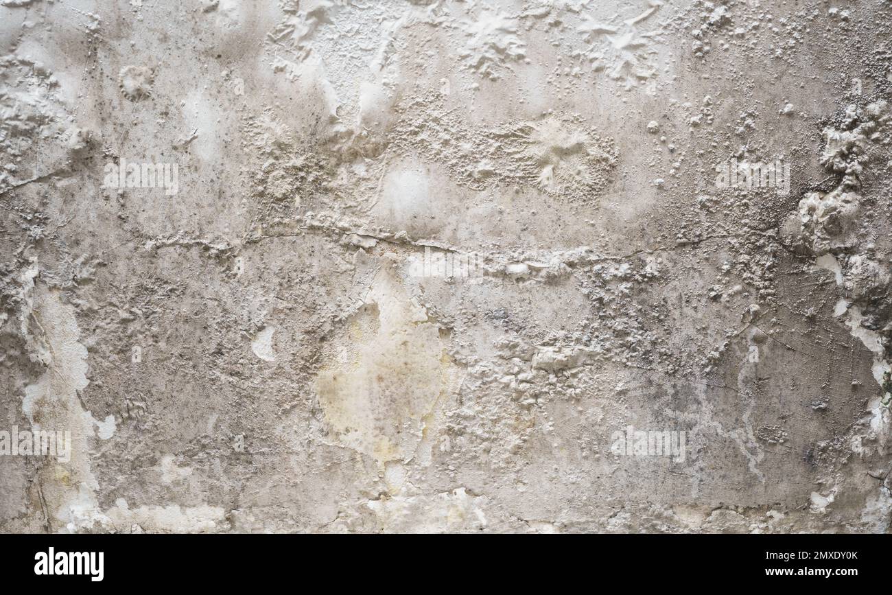 Problem of moisture damage acrylic white painting crack surface texture