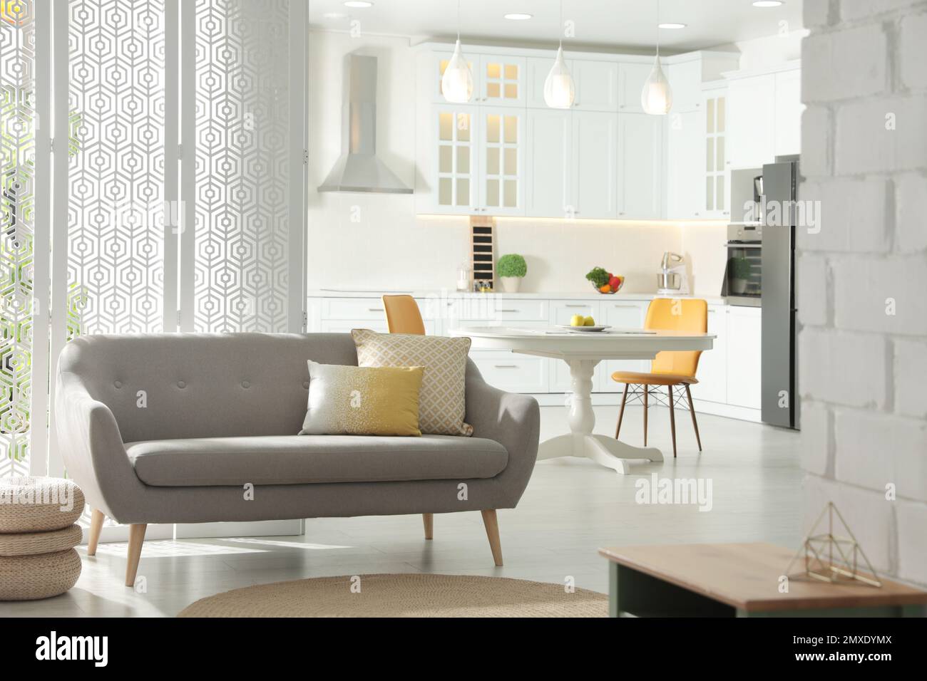 Stunning Stylish Apartment Interior Design With Metallic Cabinets image