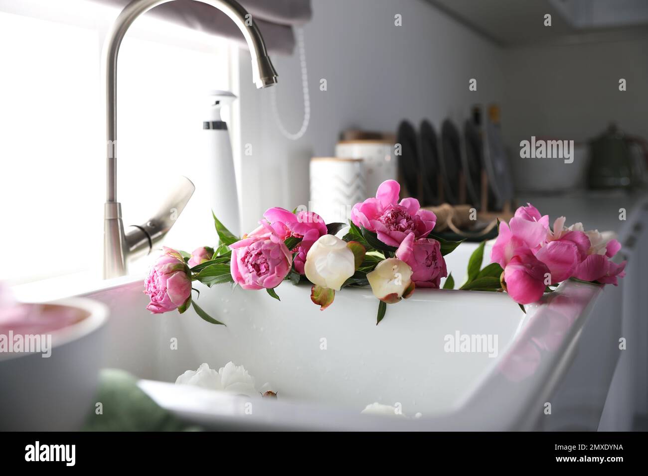 Bunch of beautiful peonies in kitchen sink Stock Photo - Alamy