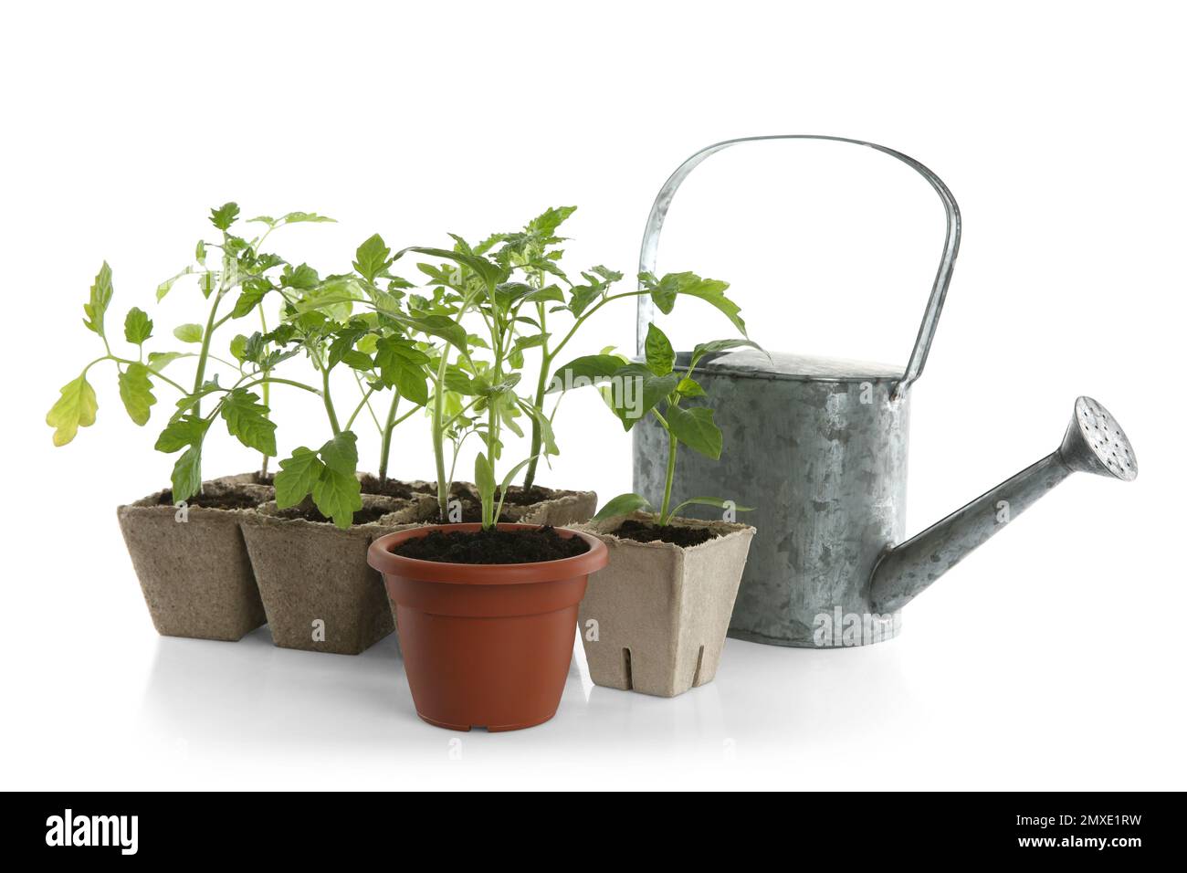 Dengmore Watering Can For Indoor Outdoor Plants Small Watering Cans For