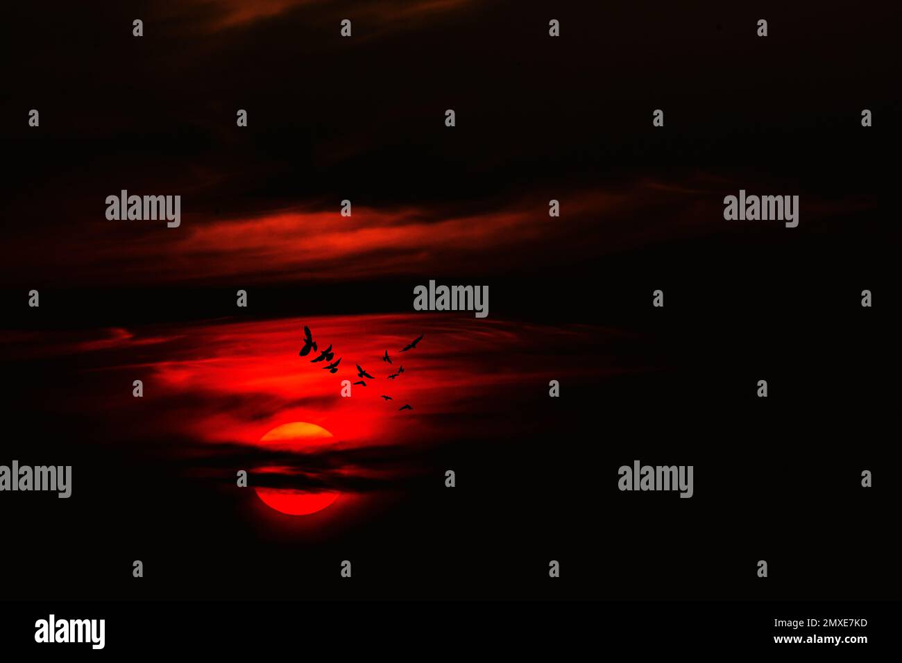 Nightflight hi-res stock photography and images - Alamy
