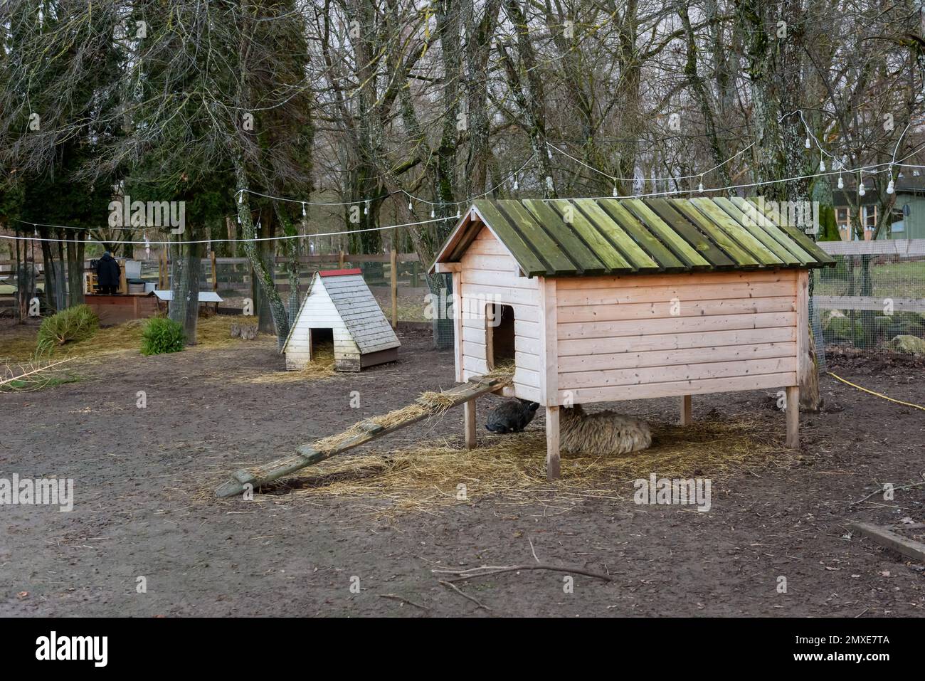 ADAZI, LATVIA. 14th January 2023. Wooden houses for animals Stock Photo