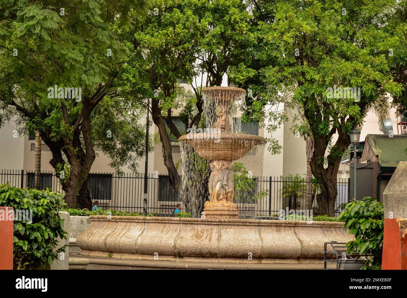A water fountain surrounded by green vegetation in Morazan Park San